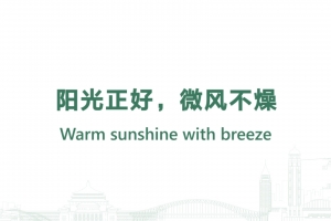 陽光正好，微風不燥