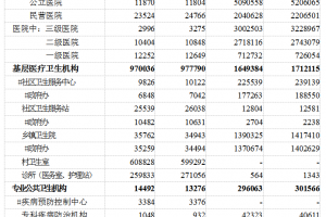 淺談國內的醫院體係